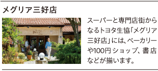 メグリア三好店
